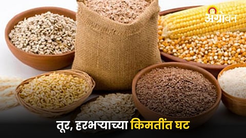 Agriculture Market