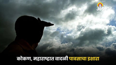 Maharashtra Rain