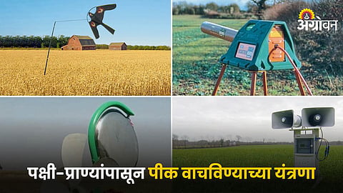 Agriculture Technology