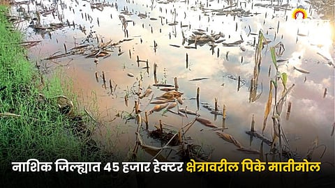 Crop Damage