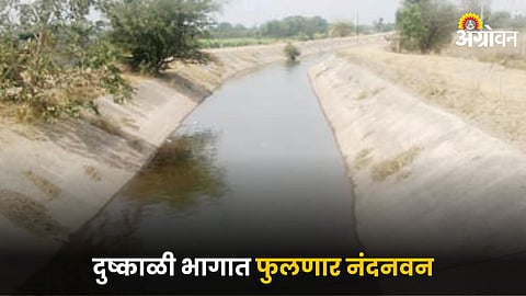 Irrigation Scheme