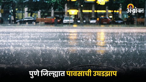 Rain