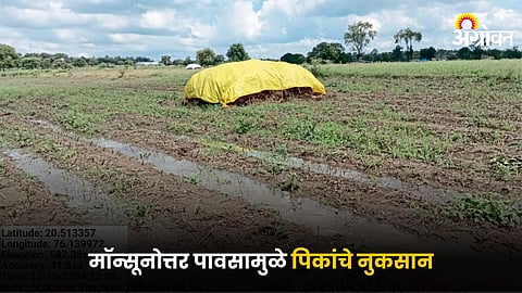 Crop Damage