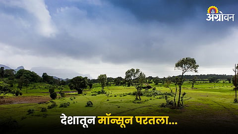 Monsoon