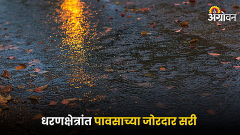 Rain