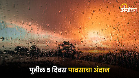 Maharashtra Rain 