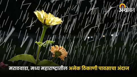 Rain