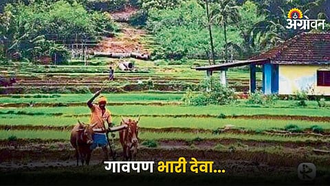 Agriculture