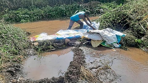 Crop Damage : ‘ओझरखेड’च्या आवर्तनाने पिके पाण्याखाली 
