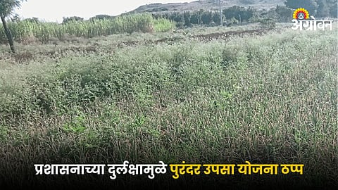 Agriculture Irrigation