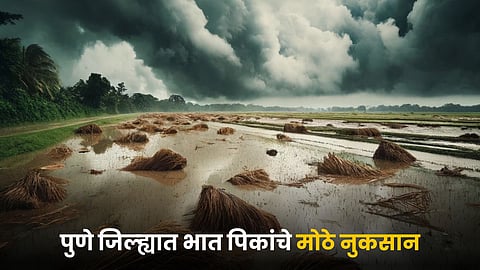 Crop Damage