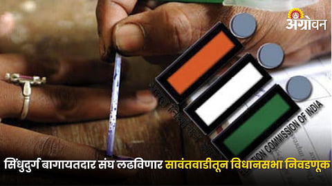 Election