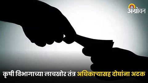 Agriculture Department Corruption 