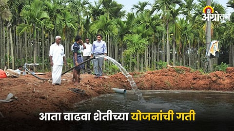 Agriculture Scheme