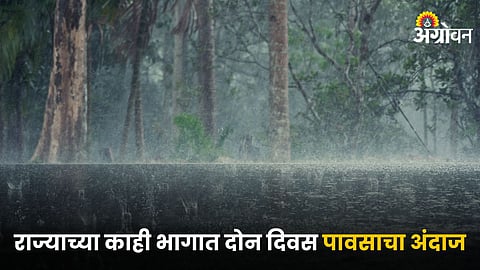 Rain