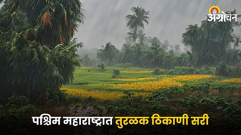 Maharashtra Rain 
