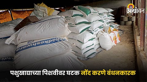 Animal Feed Bag 
