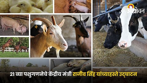  Livestock Census :