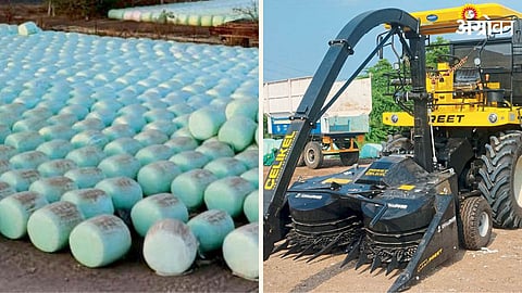 Silage Production