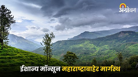 Monsoon