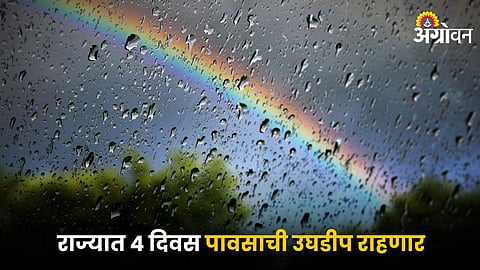 Rain