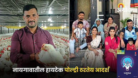 Poultry Farming 