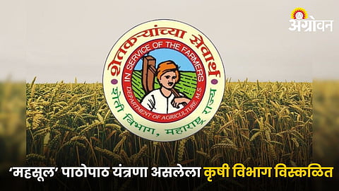 Agriculture Department 