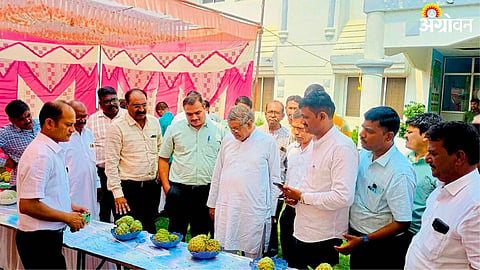 Agriculture News 