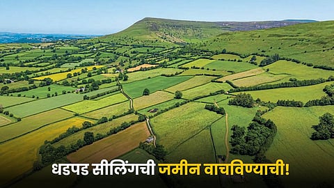Agriculture Land 
