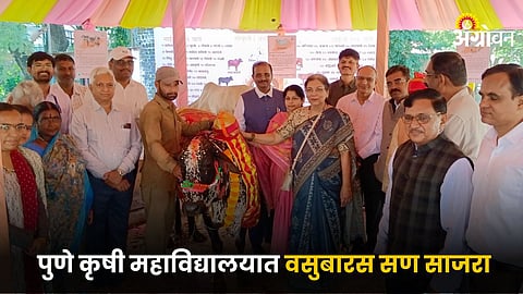 Vasubaras Festival 