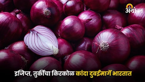 Onion