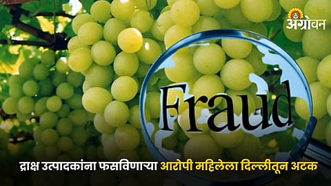 Grape Fraud