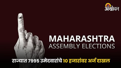 Vidhansabha Election