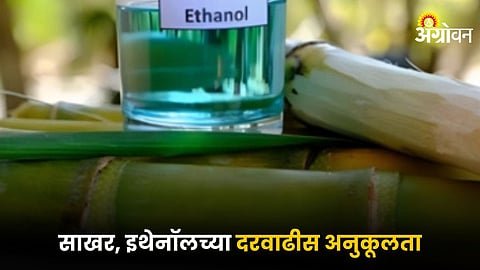Sugar and Ethanol