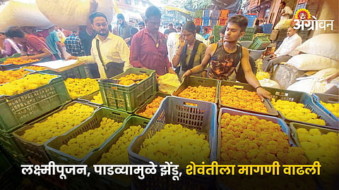 Flower Market 