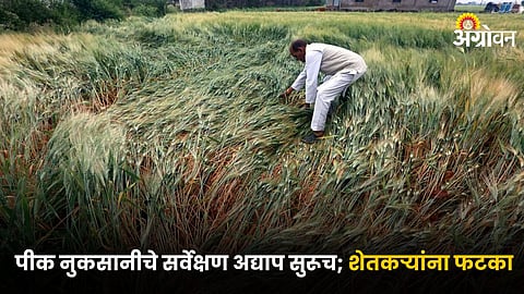 Crop Damage