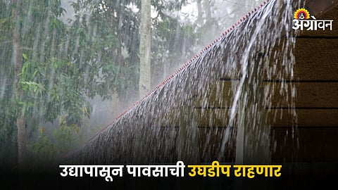 Rain Update