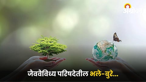 Biodiversity Council