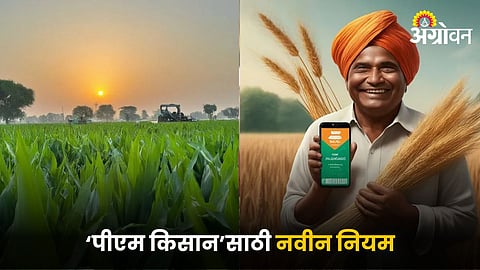 PM Kisan Scheme