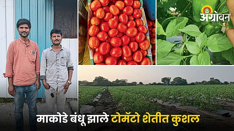 Subhash and Kalyan Makode and their Farm