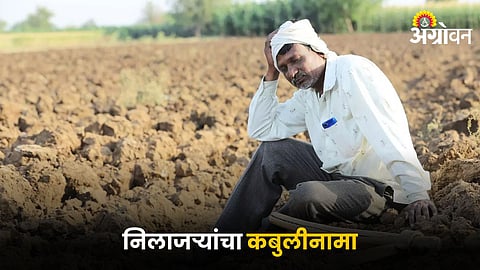 Farmer