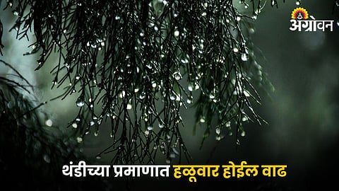 Weather
