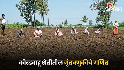 Rainfed Farming