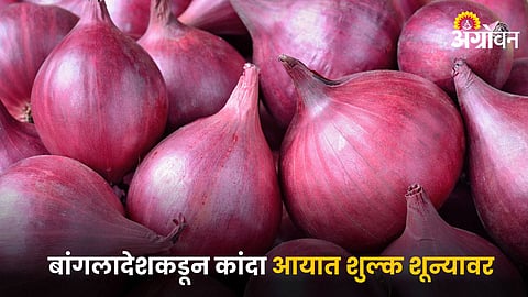 Onion