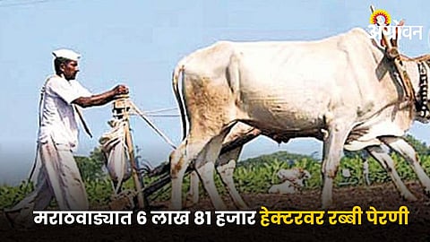Rabi Sowing
