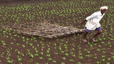 Agriculture Department Kolhapur