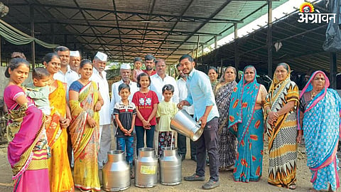 Dairy Business