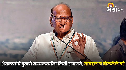 Sharad Pawar 