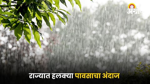Rain