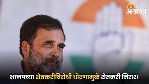 Rahul Gandhi 